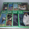 Enciclopedia De Los Animales - Aves - Larousse - Precio De 3 2