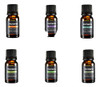 6 Botellas 100% Aceite Esencial De Aromaterapia Pura Para El 0