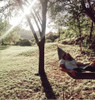 Hamaca Paraguaya Runakay Camping Impermeble Compactable Nuev 7