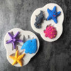 Moldes De Conchas 4 Pcs 3