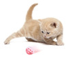 Kit Juguetes Surtidos Para Gatos X3 1