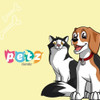Kit Juguetes Surtidos Para Gatos X3 4