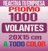 1000 Volantes A Color 20x15 Cm Papel Brillo 1