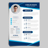 Armado Curriculum Vitae Diseño - Cv Personalizado 1