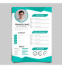 Armado Curriculum Vitae Diseño - Cv Personalizado 4