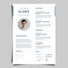 Armado Curriculum Vitae Diseño - Cv Personalizado 6