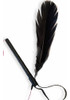 Kit Juguetes Para Gatos: Pluma Y Laser 2