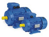 Motor Trifasico 1/2 Hp 2800 Rpm 4 Motor Trifasico 1/2 Hp 2800 Rpm 4