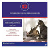 02 Feliway Friends Difusor + Refil 48ml 2