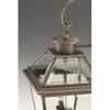 Progress Lighting P653720 Burlington Twolight Colgante Linte 2