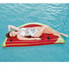 Colchoneta Inflable Gigante Anana Bestway Pileta Playa Isla 5