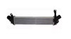 Intercooler Renault Kangoo 0