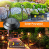 Letmy Solar Pathway Lights Outdoor, Paquete De 8 Luces Solar 1