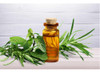 Aceite Esencial Romero Puro Natural 10ml 2