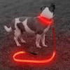 Correa Con Luz Led Baterías Recargables Mascotas 120x2,5 Cm 5