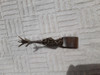 Pinza Antigua Labrada Para Terrones De Azucar 0