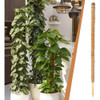 Tutor De Plantas De Fibra De Coco Estaca Flexível 80cm 4