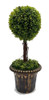 Topiario 60 Cm Esfera Maceta  Planta Artificial Sheshu Home 0