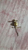 Alfiler De Corbata Ratón Oro Fix Antiguo 1
