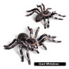 Figuras De Animales Realistas Flormoon - Araña Accion Para N 2