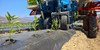 Mulching Plástico 25 Mic. 0,8 Mt De Ancho X 1000 Mt De Largo 3