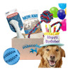Mascobox Cumpleaños Regalo Juguetes Kit Pelota Perro Grande 0 Mascobox Cumpleaños Regalo Juguetes Kit Pelota Perro Grande 0