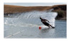 Lanchas Nauticos Boyas Goma Inflables Bote Amarre Jet Ski 2