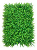 Panel Placa Jardín Vertical Boj Artificial 60x40cm 5