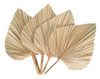 4 Peças De Folhas De Palmeira Secas, Ventiladores De Palmeir 4