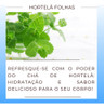 3 Pacotes Chás Hortelã Folhas | Legítimo Hortelã-das-hortas 7