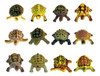 Figuras Animales Mini Tortugas Set X12 Goma Caparazon 0