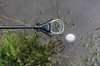 Perro Perdiguero De Pelota De Golf Callaway 3