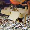 Grande Plataforma De Banho De Sol Para Tartarugas Com 4