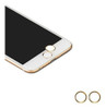 Adhesivo Para Botón Inicio Butefo Para iPhone 5s/6/6 Plus 0