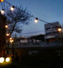 7 Mts Guirnalda Luces Exterior Led Transparente 1w Kermesse 5