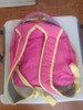 Mochila Marca Is&d 1