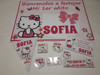 Combo Decoración Para Cumpleaños Hello Kitty 5