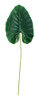 Hoja Artificial Planta Elefante 60cm 1