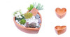 Vaso Para Suculentas Decorativo Cerâmica Mini Jardim Bacia 1