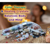 Chakra Crystal Shower Head Led Lights. Cambio De Color. Pied 3
