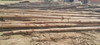 Postes Naturales De Eucaliptus Rusticos De 3 A 7 Mts 2