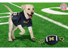 Pets First Collegiate Michigan Wolverines Juguete Para Perro 6