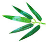 Folha Bambu Mosso Artificial Pacote Com 100 Galhos 1