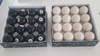 Bolas De Pool Blancas X Caja 1