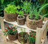 Vaso Fibra Xaxim Palmeira Grande 14x25 P/ Plantas Naturais 3