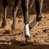 Classic Equine Airwave Botas De Férula 1
