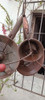 Lote Molinos De Legumbres 7