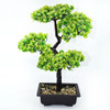 Bonsai Artificial 1