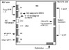 Manual De Central Siemens Hicom 100 2