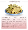 Chá Folhas Da Goiaba | Legítima Goiabeira P Chá Erva Natural 2